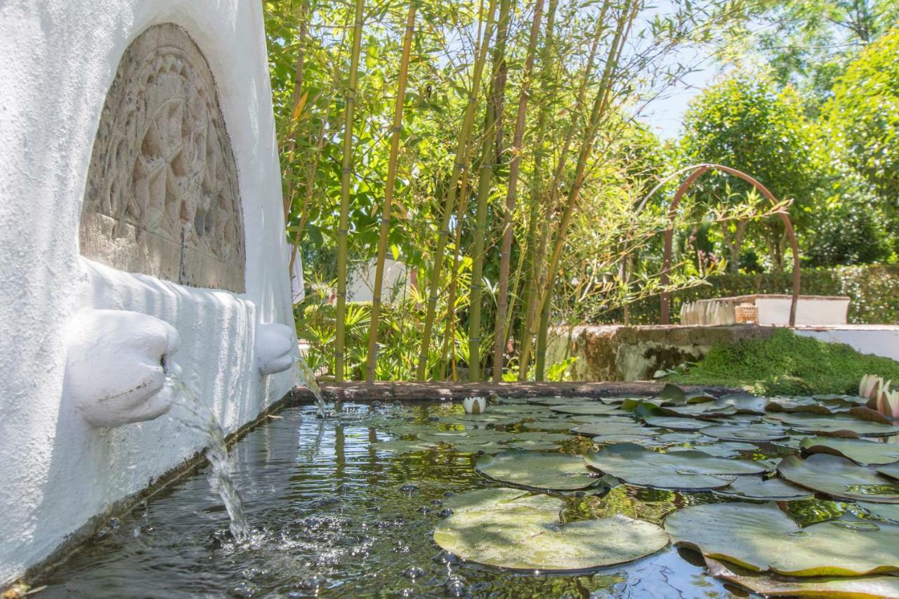 Monte Da Fornalha Bed & Breakfast Borba Exterior photo